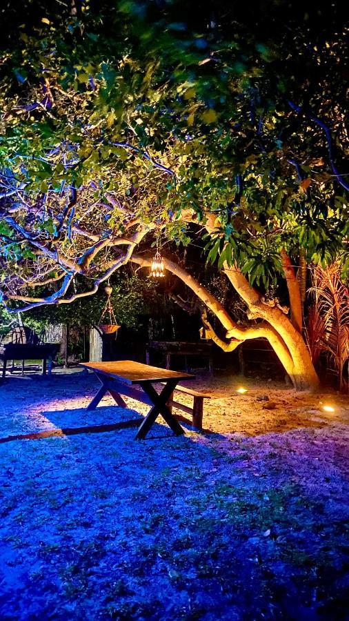 Morada Venturi Villa Atins Ngoại thất bức ảnh